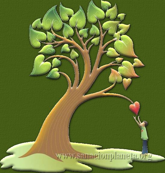 sanacin,planeta,ecologia,